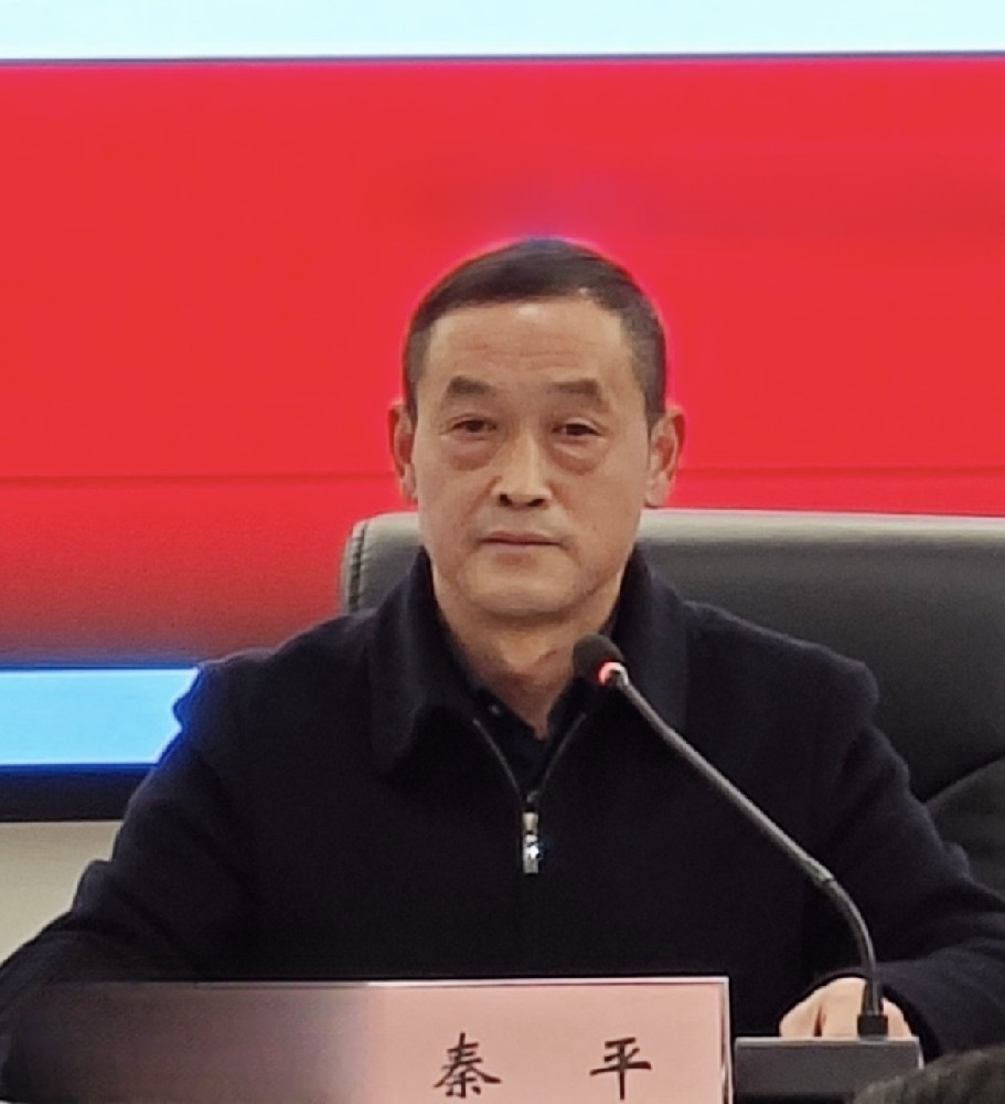 秦平（副總經理）